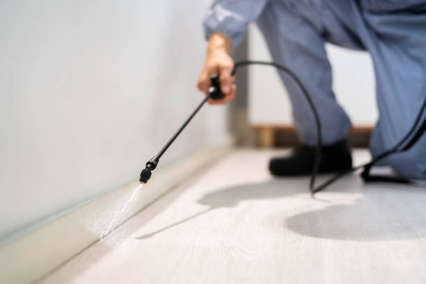 Rodent Entry Point Assessment in Chaska