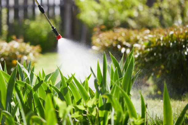 Tamper-Resistant Bait Stations for Rodents in Chaska