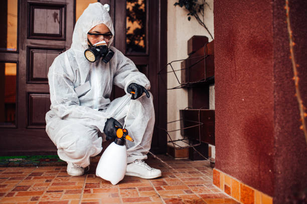 Attic and Crawl Space Rodent Treatment in Chaska