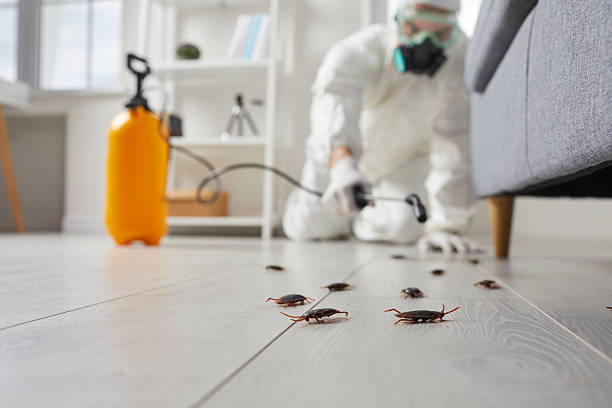 Commercial Rodent Management in Chaska